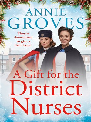 cover image of A Gift for the District Nurses